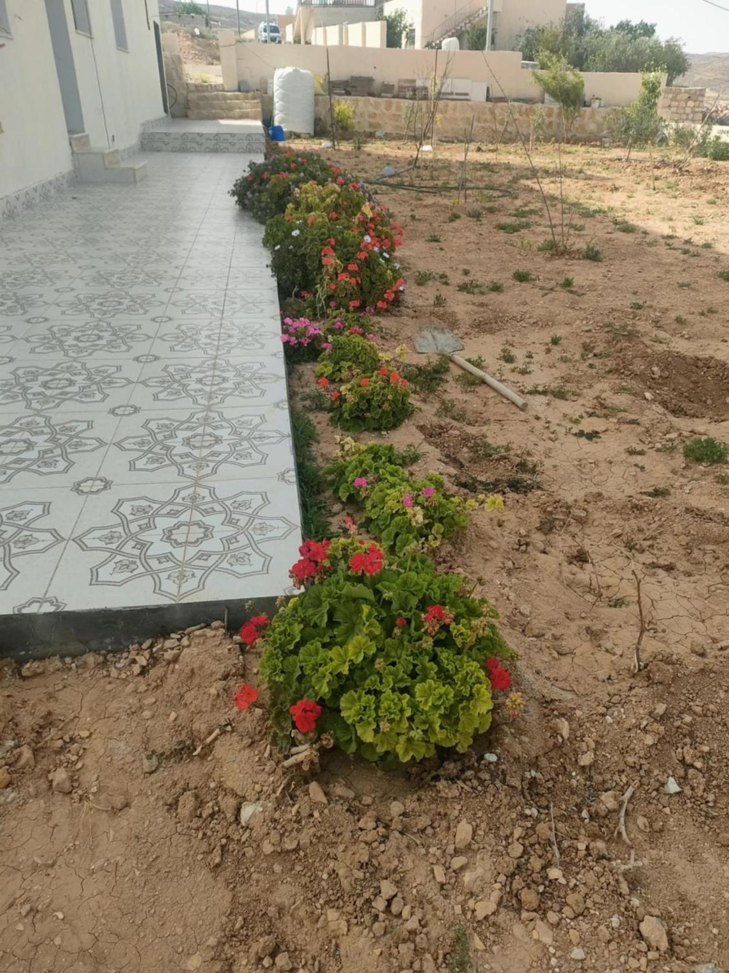Darkum Apartment Wadi Musa Dış mekan fotoğraf